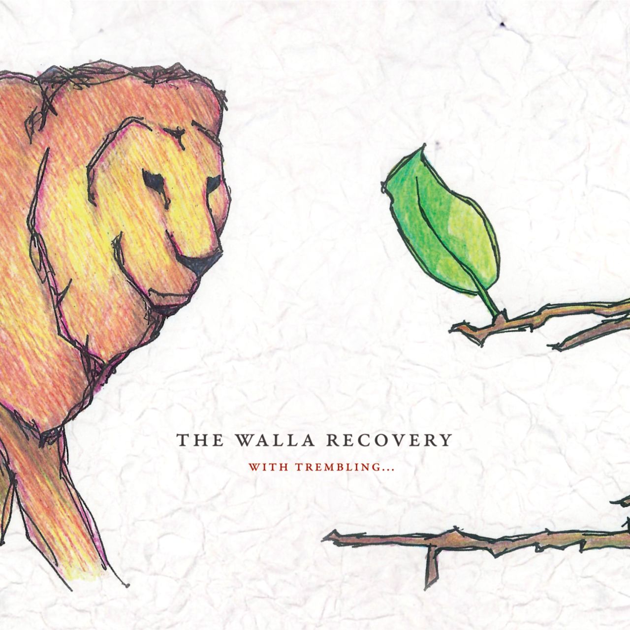 Digital Cover Deluxe Square 1500 Walla